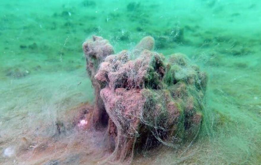 Marmara’yı Yeniden Müsilaj Sardı: Erdek’ten İzmit’e 45 Günde Yayıldı