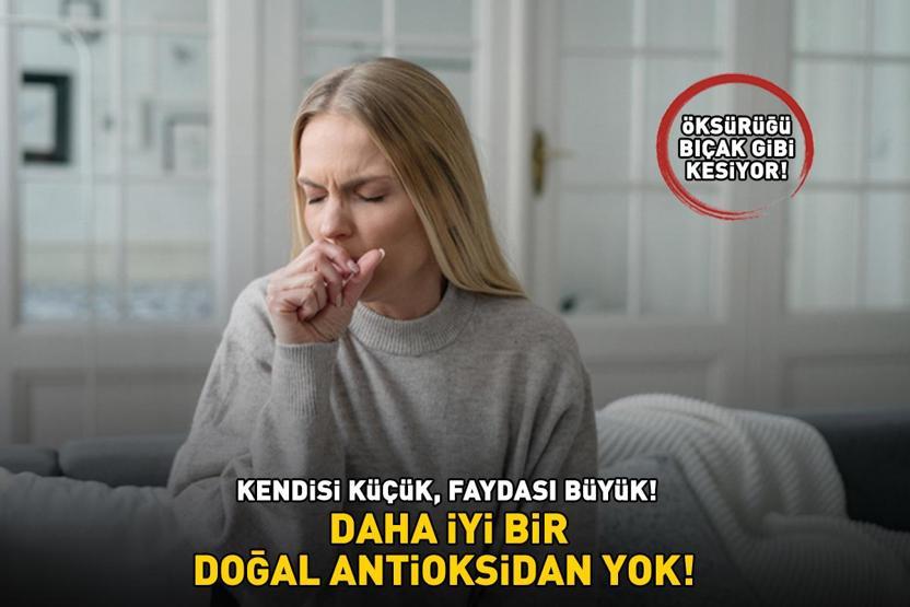 Faydaları saymakla bitmiyor Daha iyi bir doğal antioksidan yok Öksürüğü bıçak gibi kesiyor, balgamı akciğerden söküp alıyor