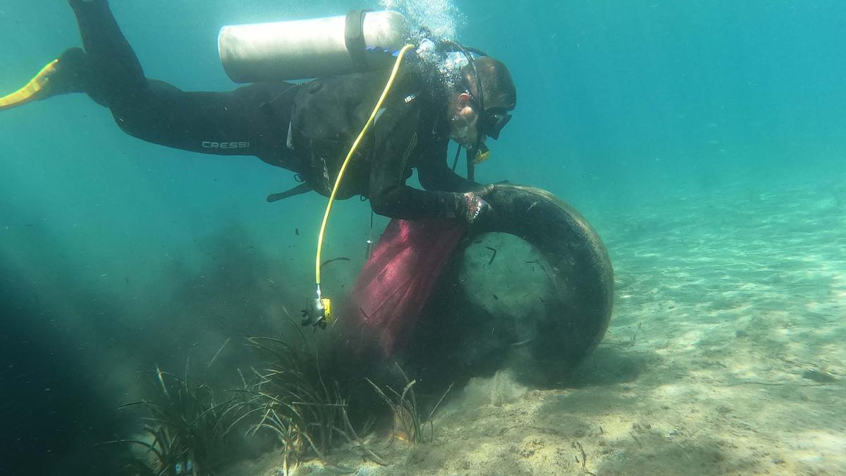 Bodrum da denizden 2 5 ton çöp çıktı Son Dakika Flaş Haberler Video