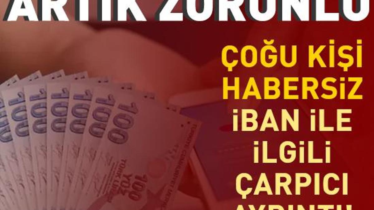 Iban Ile Para G Nderenler Dikkat Art K Zorunlu Bunu Yapmayan Yand