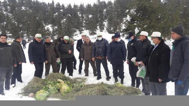 Andırın da yaban hayvanları için doğaya yem bırakıldı Kahramanmaraş Haber