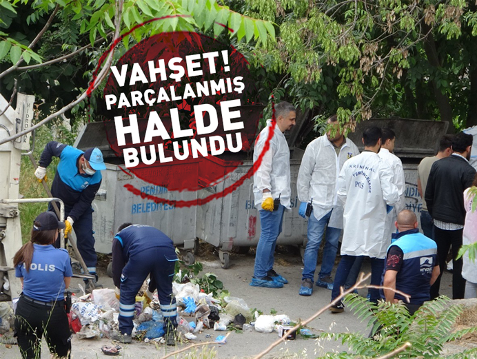 İstanbul'da vahşet: İki çöp konteynerinde parçalanmış erkek cesedi bulundu!