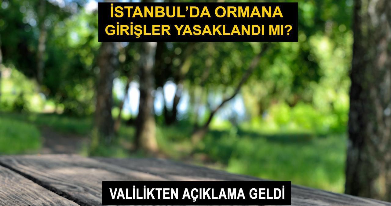 İstanbul'da ormanlık alanlara giriş yasaklandı mı? Valilikten açıklama geldi!