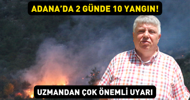 Adana'da 2 günde 10 orman yangını! Uzman isimden çok önemli uyarı