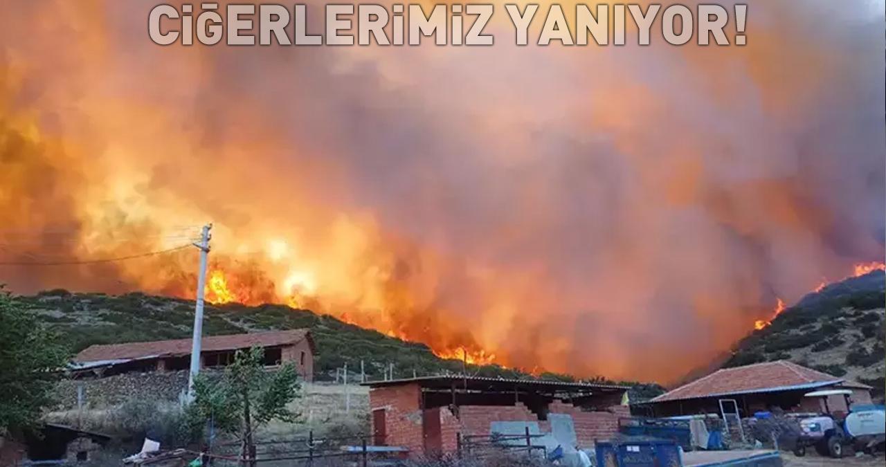 Ciğerlerimiz yanıyor! Manisa’da orman yangını: 2 mahalle tedbir amaçlı boşaltıldı
