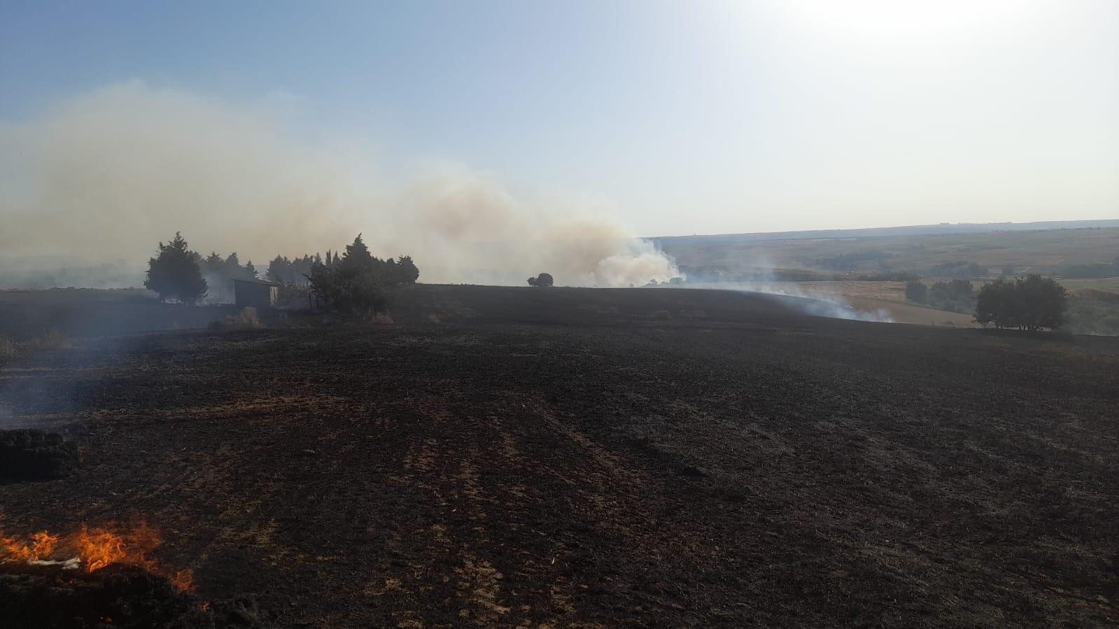 Silivri'de tarım arazisinde yangın