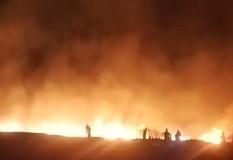 Tunceli'de korkutan yangın: 100 dönümlük ekili alan zarar gördü