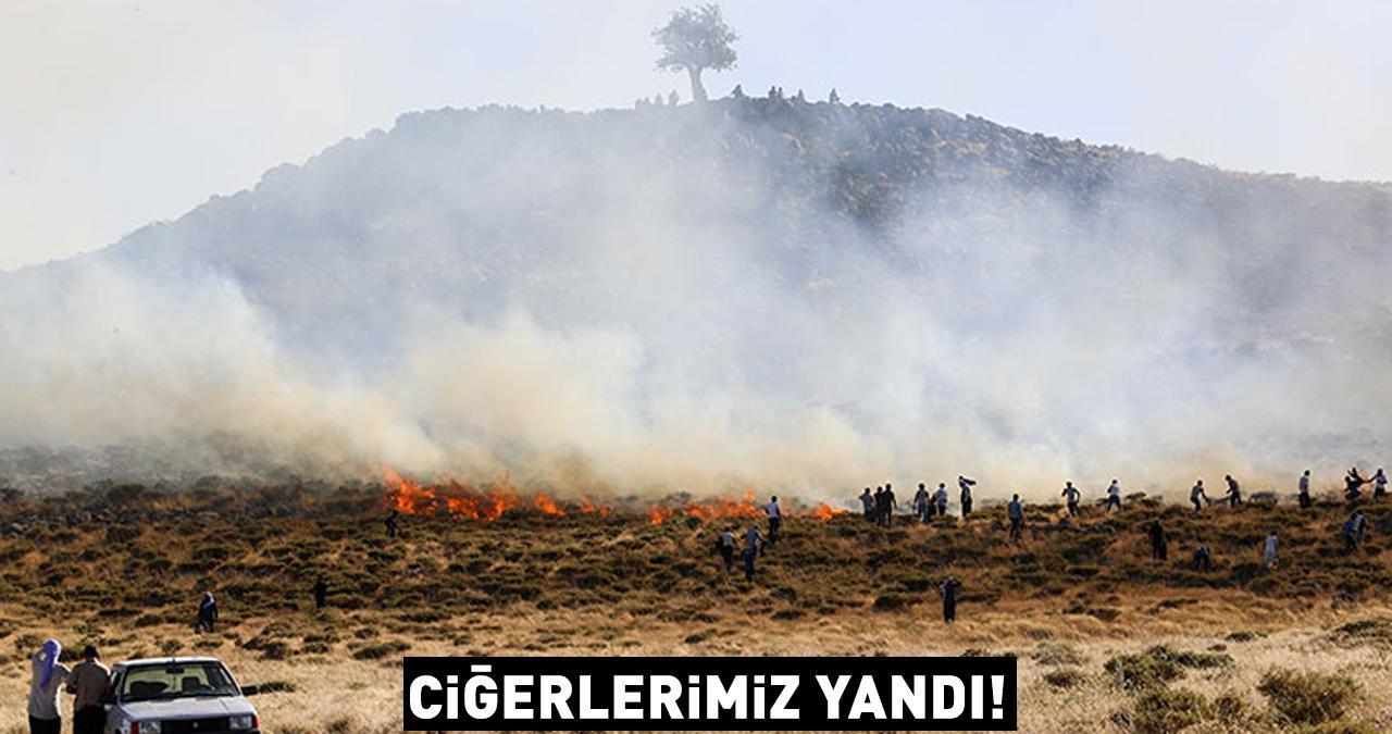 Çanakkale, Diyarbakır, Denizli, Elazığ... Ciğerlerimiz yandı!