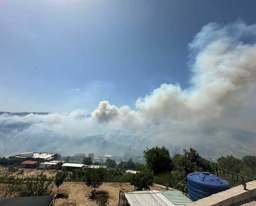 24 saate yaklaştı... İzmir'de orman yangını! Son durum böyle görüntülendi