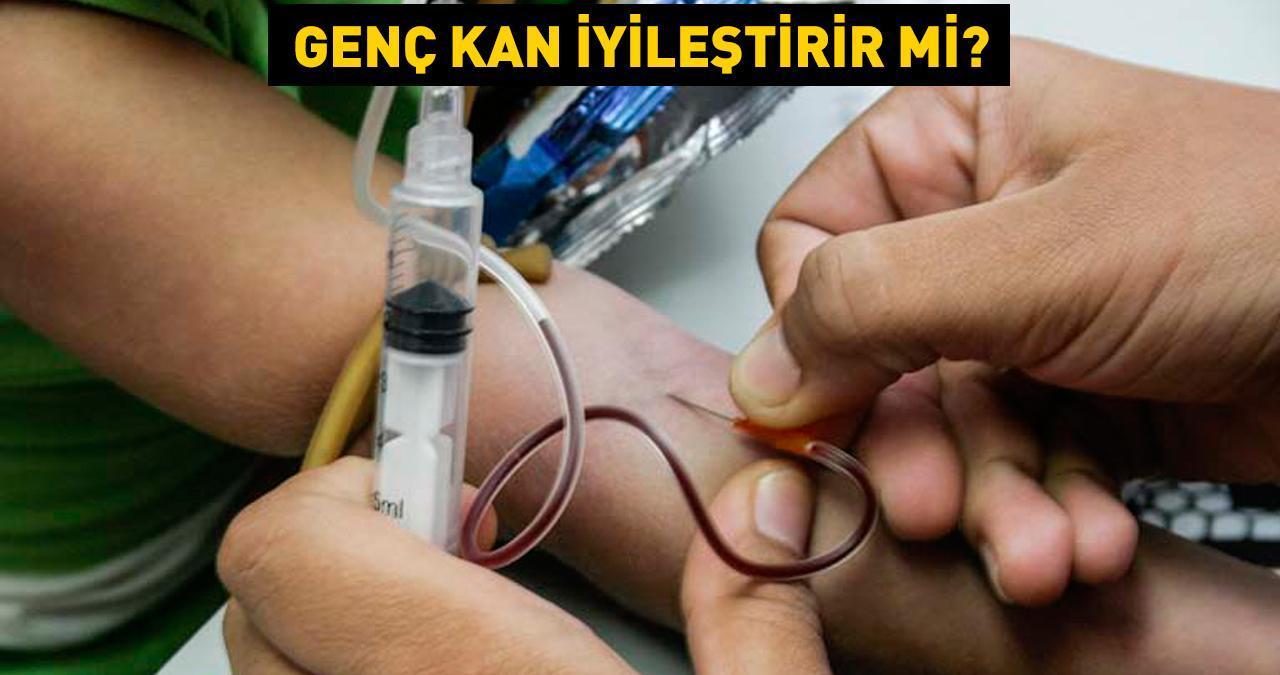 Genç kan gençleştirir mi? Prof. Dr. Osman Müftüoğlu yazdı