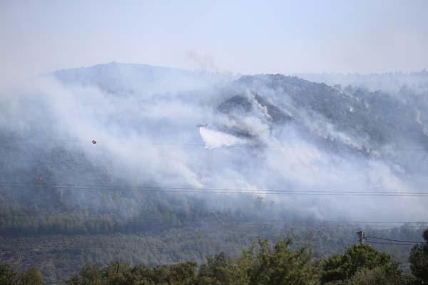 SON DAKİKA HABERİ: Bodrum'da orman yangını