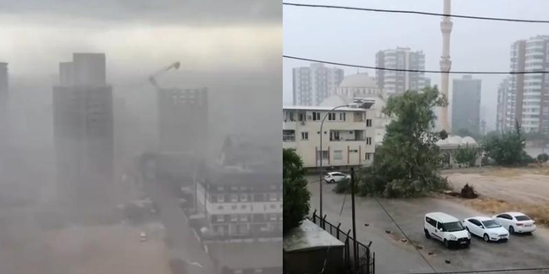 Adana'da sağanak ve fırtına! Kule vinç ile ağaçlar devrildi, çatılar ve reklam panoları uçtu