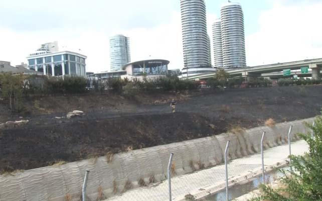 İSTANBUL'DA ŞOK! 2 kişi yol kenarında bulunan otları ve ağaçları yakıp kaçtı