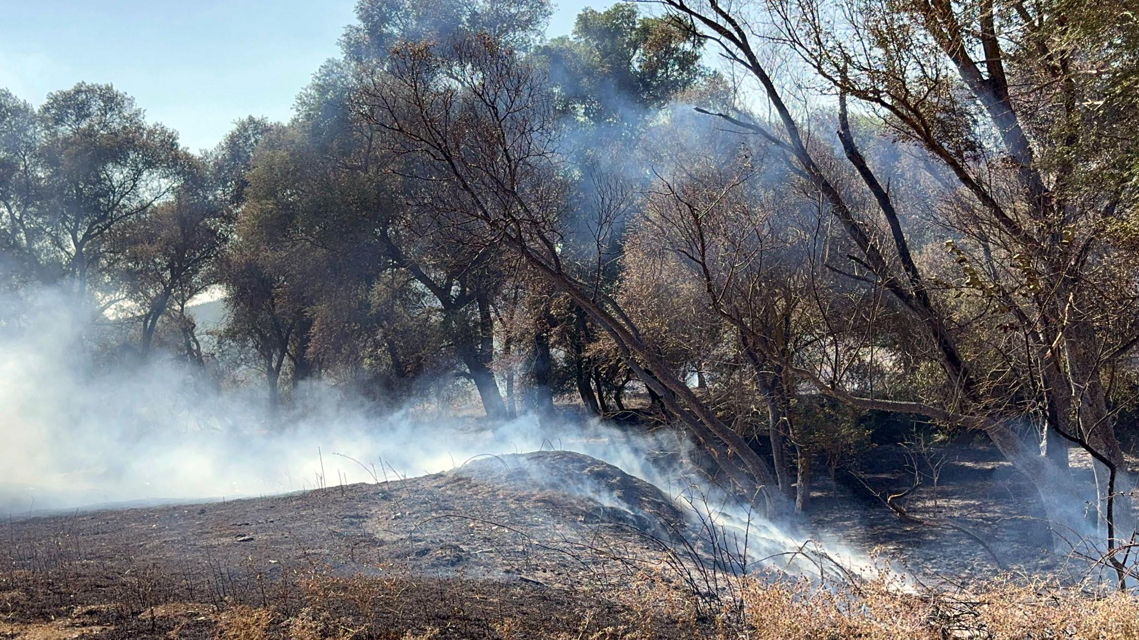 Tekirdağ’da iki ayrı piknik alanında yangın çıktı