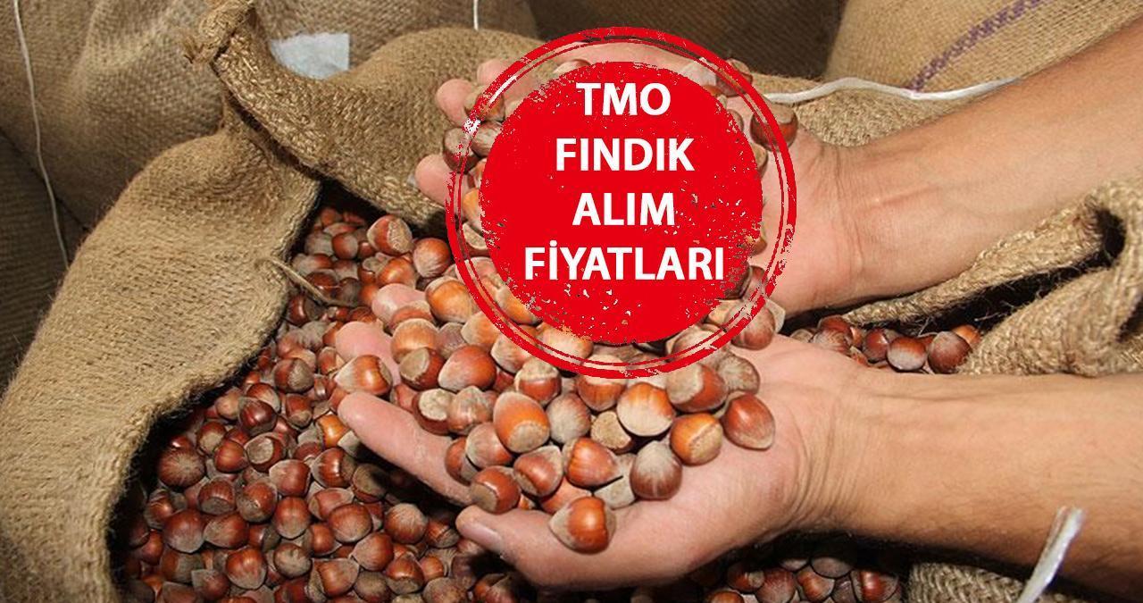 TMO FINDIK ALIM FİYATLARI | Ağustos 2024 son dakika güncel Levant ve Giresun kalite fındık alım fiyatları