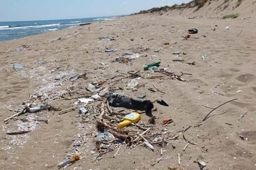 Kaderine terk edilmiş! 2 kilometrelik kumsal çöple kaplandı