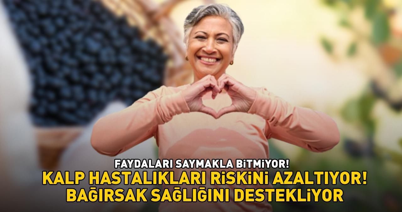 DÜNYANIN EN SÜPER MEYVESİ! Erzincan'da hasat başladı! 'Kalp hastalıkları riskini azaltıyor, bağırsak sağlığını destekliyor'