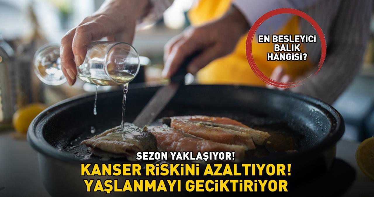 Sezon yaklaşıyor! En besleyici balık hangisi? 'Kanser riskini azaltıyor, yaşlanmayı geciktiriyor'