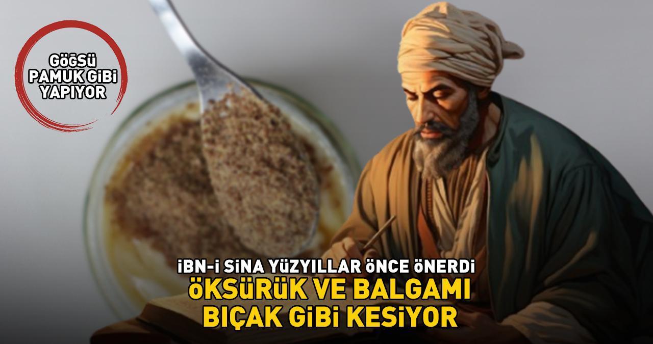 GÖĞSÜ PAMUK GİBİ YAPIYOR! İbn-i Sina yüzyıllar önce önerdi! Öksürük ve balgamı bıçak gibi kesiyor, gripten koruyor