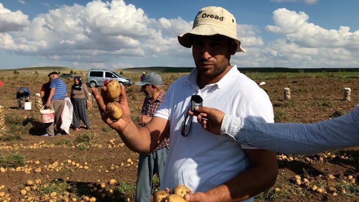 Kovayı çuvalı kapan tarlaya koştu: Ücretsiz dağıttı