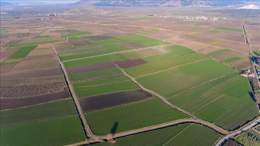 Doğanın Mirası: Amik Ovası Ve Özellikleri