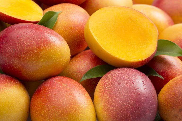 Kanser savaşçısı! Uzmanlar şifa deposu diyor... Düzenli tüketildiğinde etkileri inanılmaz: Mango mucizesi