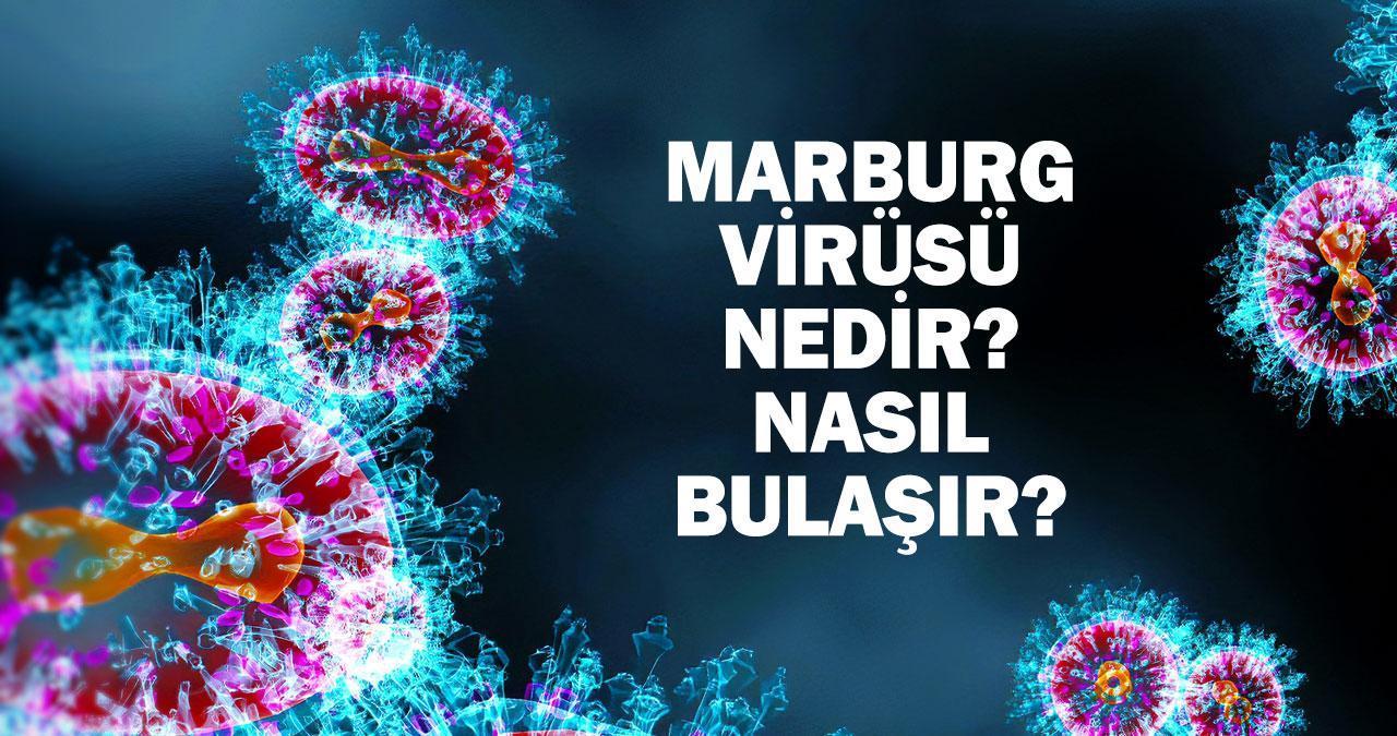 Marburg Virüsü Nedir, Nasıl Bulaşır, Belirtileri Nelerdir?