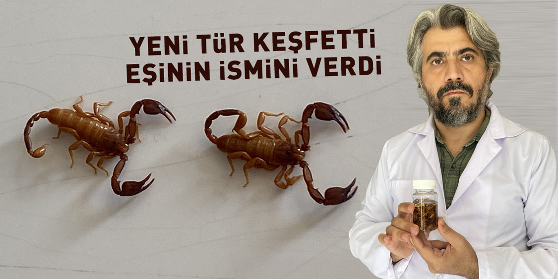 TÜRKİYE'DE KEŞFEDİLDİ | Yeni akrep türüne eşinin ismini verdi!