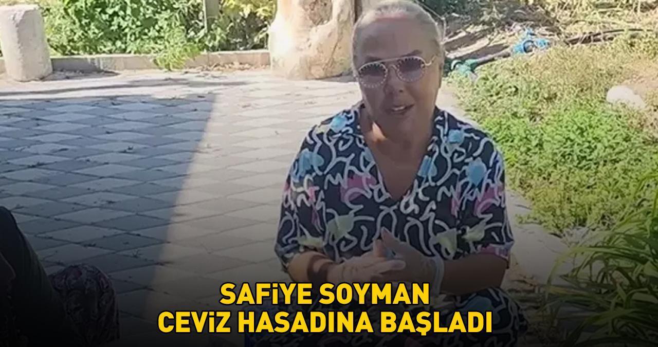 MS hastası oğlu Harun Akaröz'ün ölümüyle yıkılmıştı! Ünlü şarkıcı Safiye Soyman ceviz hasadına başladı