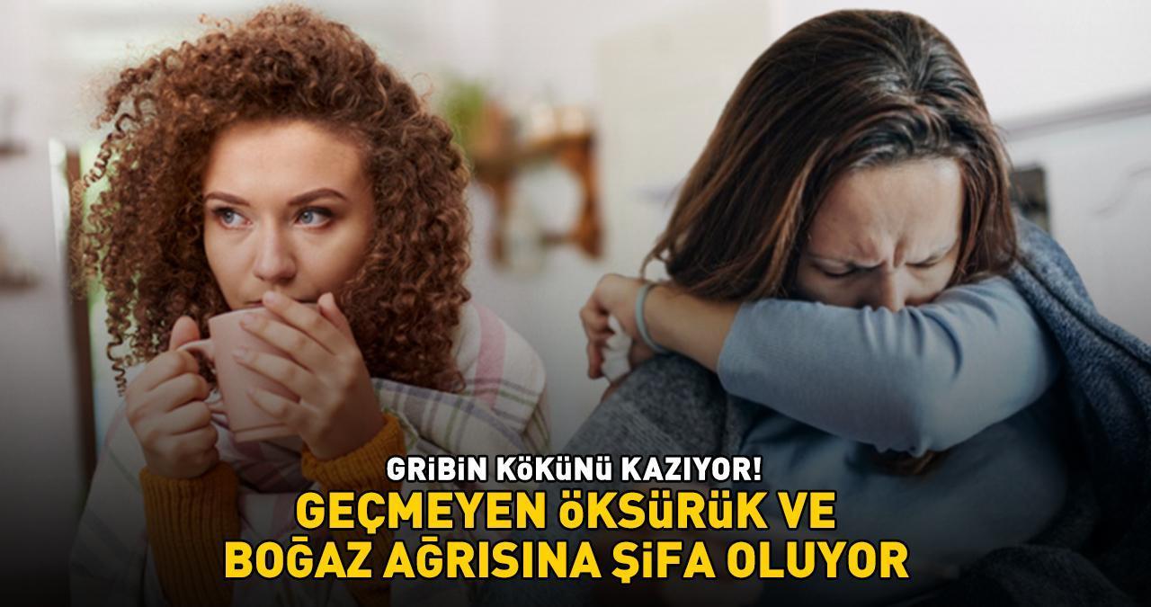 Gribin Kökünü Kazıyor! Balgam Söktürücü Etki: Geçmeyen Öksürük Ve Boğaz Ağrısına Şifa, Ateşi Düşürmeye Yardımcı Oluyor