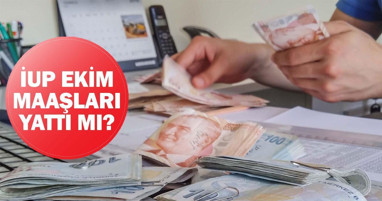 İŞKUR İUP Ekim maaşları yattı mı, ne zaman yatacak, nereden öğrenilir?