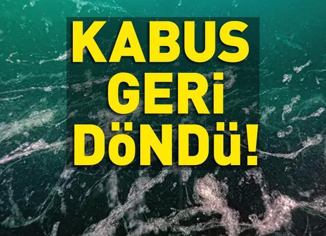 SON DAKİKA! Kabus 3 yıl aradan sonra geri döndü! Bu uyarı bir profesöre ait!