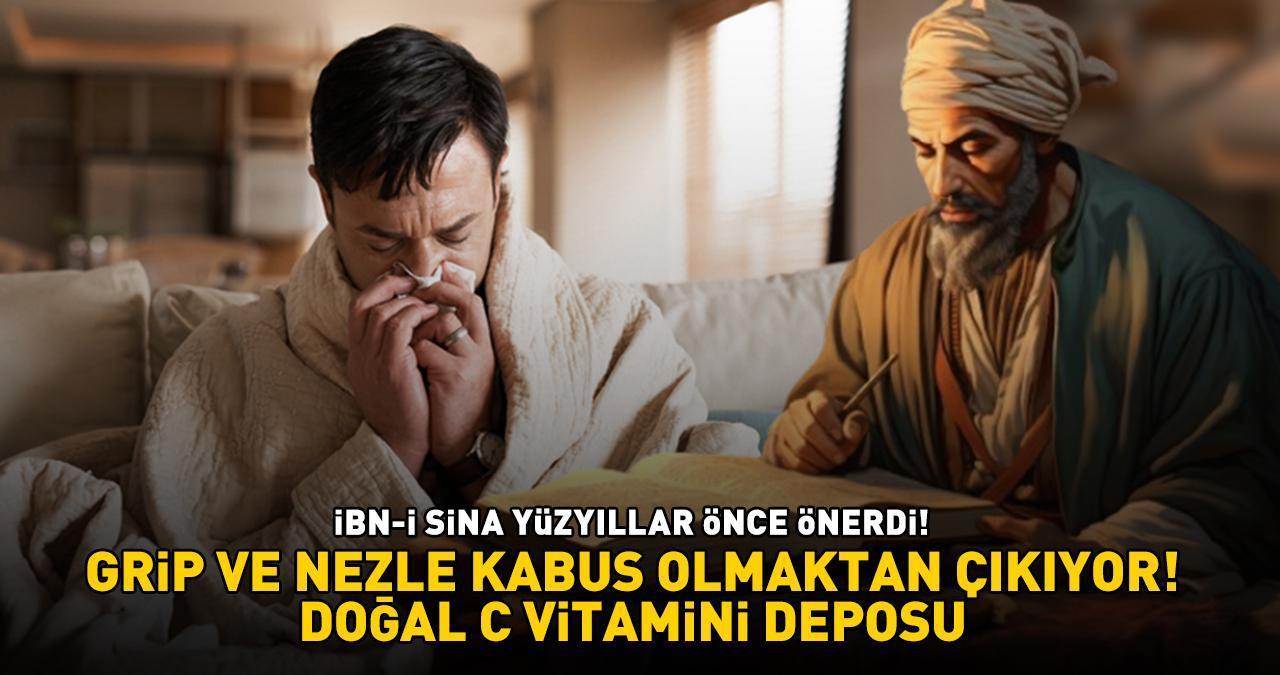 İbn-i Sina Yüzyıllar Önce Önerdi! Vücudu Grip, Nezle, Soğuk Algınlığı Gibi Hastalıklardan Koruyor: 'DOĞAL C VİTAMİNİ DEPOSU'