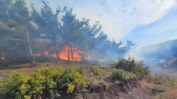 Hatay'daki orman yangını, 20 saat sonra kontrol altında