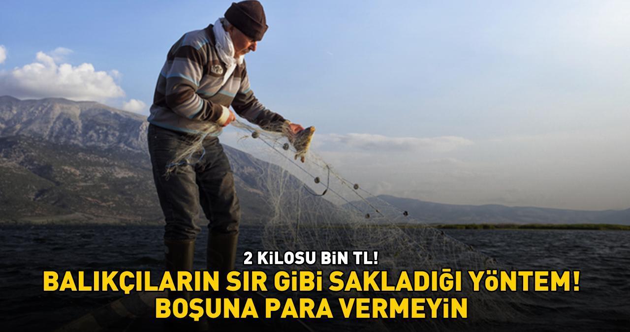 2 kilosu 1.000 TL! Boşuna para vermeyin, evde yapın! Usta balıkçıların sır gibi sakladığı yöntem