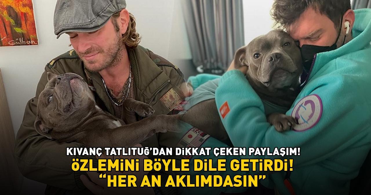 Aşk-ı Memnu'nun Behlül'üydü! Kıvanç Tatlıtuğ geçen ay kaybettiği köpeği Genç'e özlemini böyle anlattı: 'HER AN AKLIMDASIN'