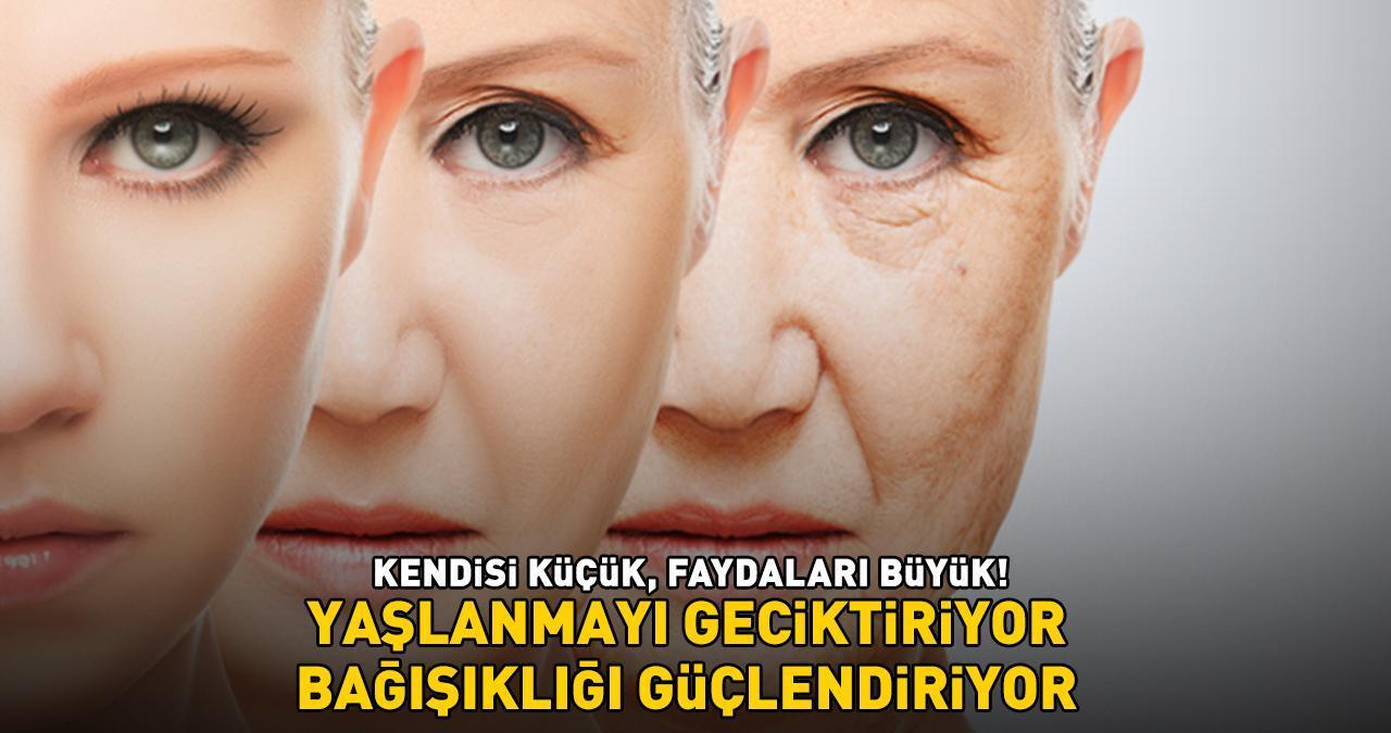 Kilosu 35 TL! Kendisi küçük, faydaları büyük: 'YAŞLANMAYI GECİKTİRİYOR, BAĞIŞIKLIĞI GÜÇLENDİRİYOR'