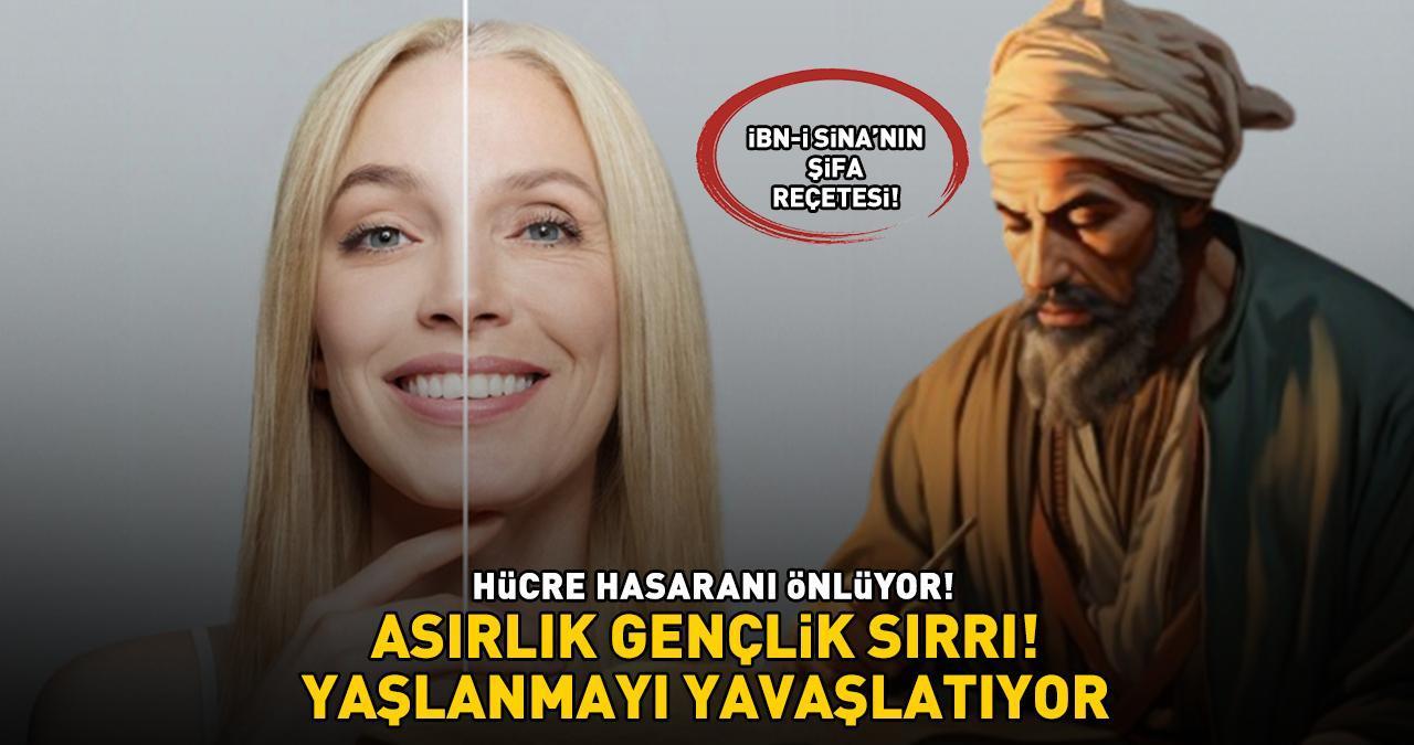 ASIRLIK GENÇLİK SIRRI! İbn-i Sina'nın şifa reçetesi! 'Hücre hasarını önlüyor, yaşlanmayı yavaşlatıyor'