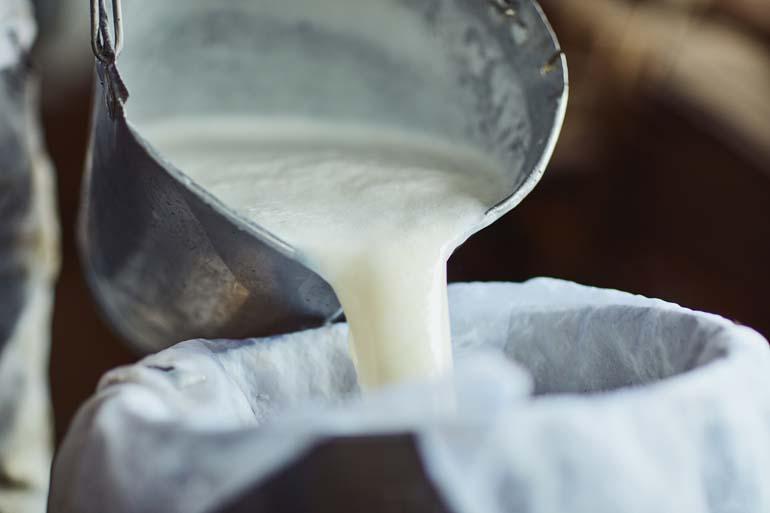 Çiğ Süt Tüketirken Dikkat! Doğru Tüketilmediğinde Tehlikesi Büyük! Çiğ Süt Kaç Dakika Kaynatılmalı? Çiğ Sütle İlgili 5 Önemli Bilgi