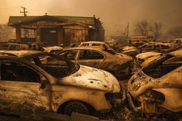 Los Angeles'taki Orman Yangınları: İhmal, İklim Krizi ve Tartışmalar