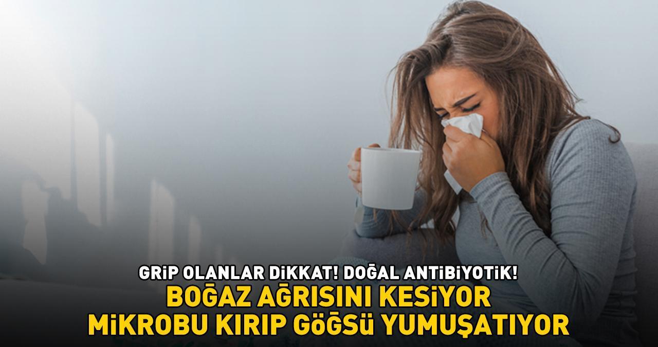 Grip olanlar dikkat! Boğaz ağrısını şak diye kesiyor! Mikrobu kırıp göğsü pamuk gibi yumuşatıyor! 'DOĞAL ANTİBİYOTİK!'