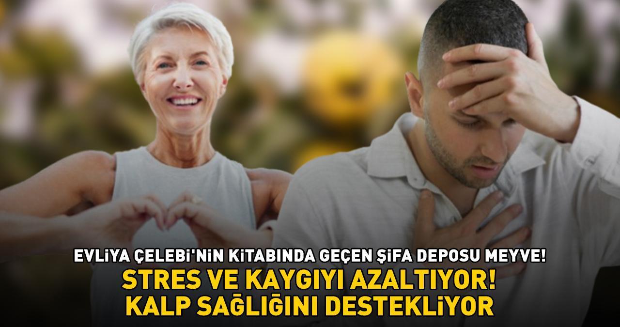 Evliya Çelebi'nin kitabında geçen şifa deposu meyve! Stres ve kaygıyı azaltıyor, kan şekerini dengeleyip kalp sağlığını destekliyor