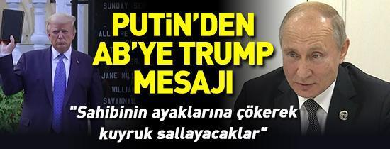 Putinden Avrupaya Trump mesajı: Sahibinin ayaklarına çökerek kuyruk sallayacaklar