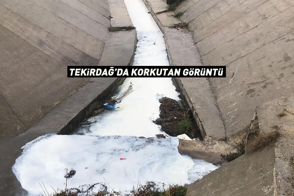 Tekirdağ'da korkutan görüntü! Vatandaşlar ihbar etti, ekipler harekete geçti