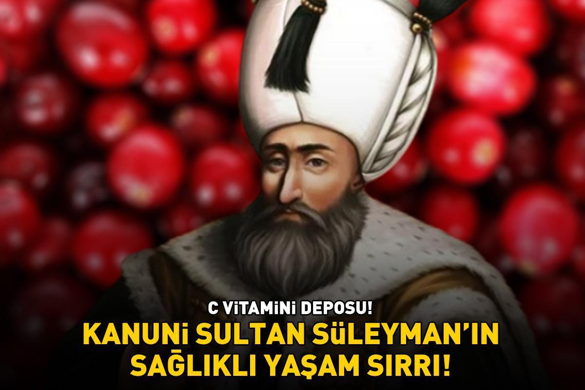 Kanuni Sultan Süleyman'ın sağlıklı yaşam sırrı! C vitamini deposu! Bağışıklığı güçlendiriyor, kalp sağlığını koruyor!