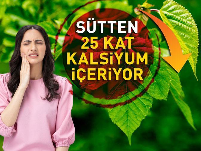 MUCİZENİN DOĞAL ŞİFA KAYNAĞI: Sütten 25 kat kalsiyum, ıspanaktan 10 kat demir içeriyor!