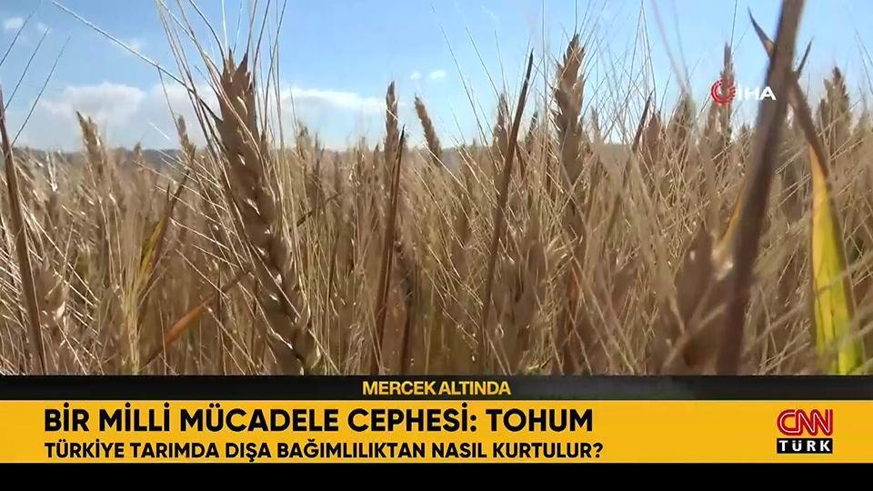 Tarımın parlak geleceği: Yerli tohum