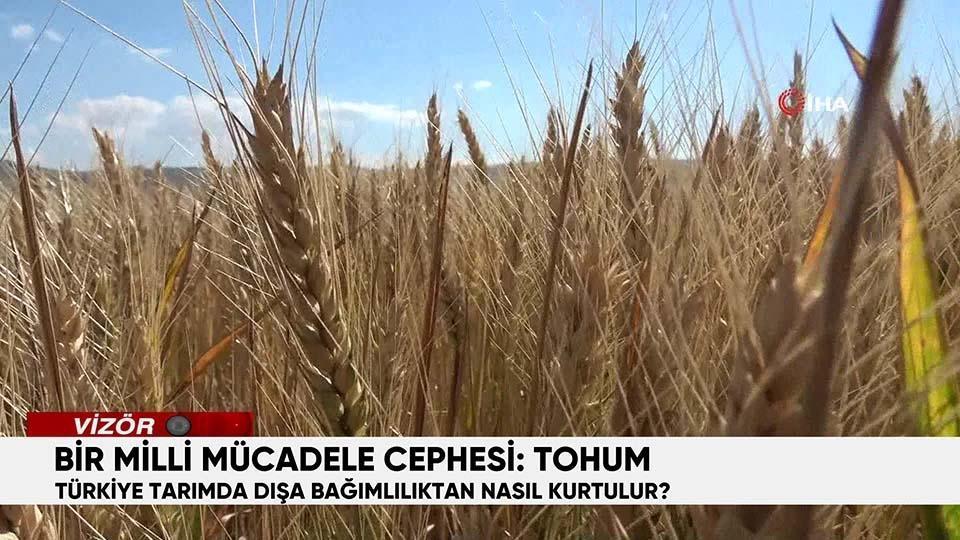 Bir milli mücadele cephesi: Tohum | Türkiye tarımda dışa bağımlılıktan nasıl kurtulur?