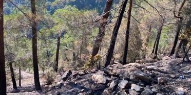 5 gün boyunca süren yangın kontrol altına alındı
