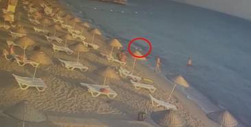 Herkes yüzdüğünü sandı! Gerçek bambaşkaydı! Acı son...